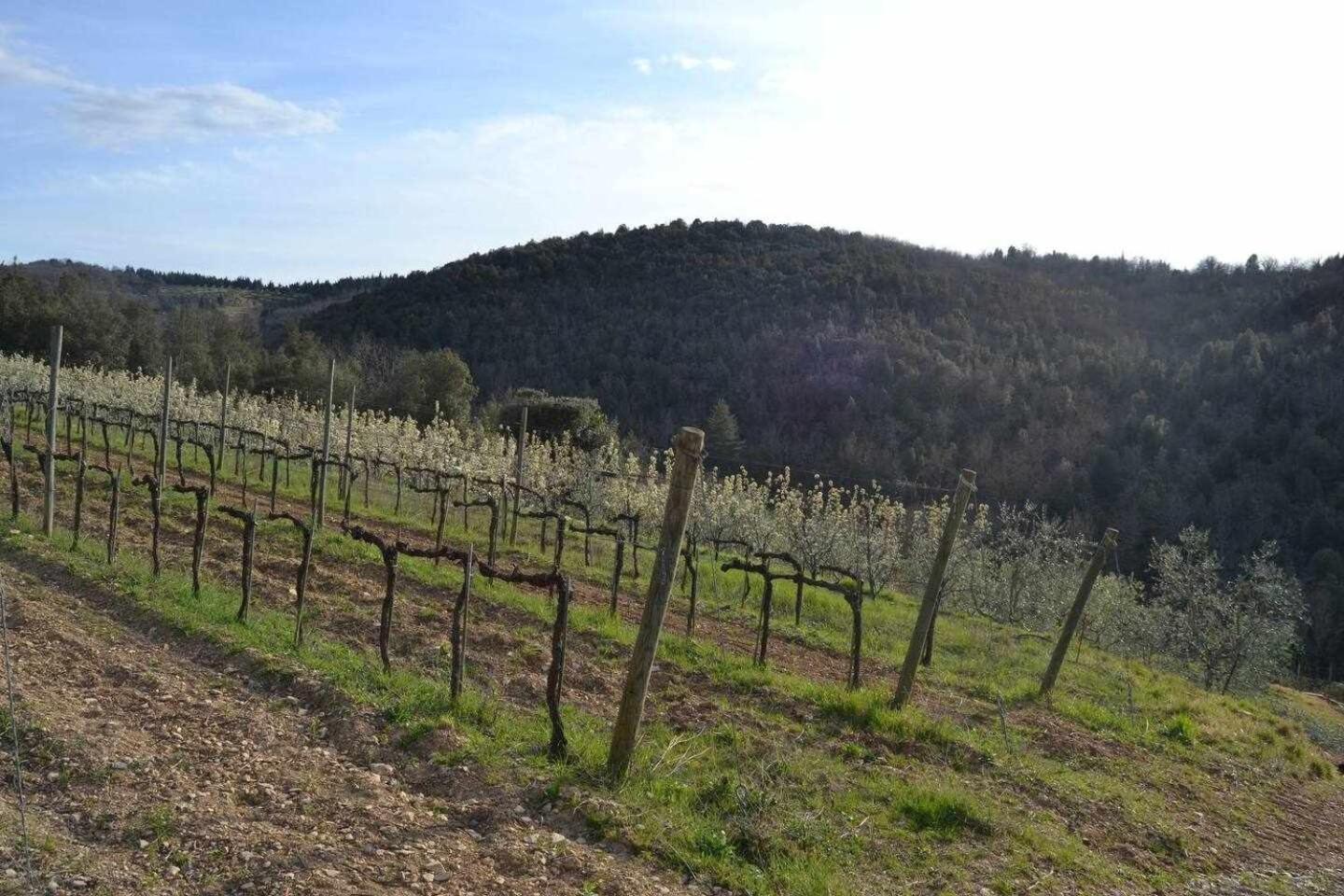 Agriturismo San Silvestro San Donato in Poggio Zewnętrze zdjęcie